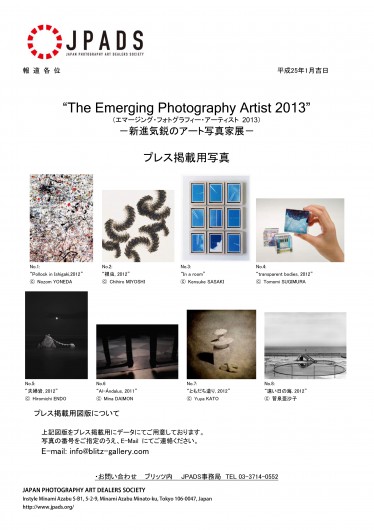 The Emerging Photography Artist 2013
